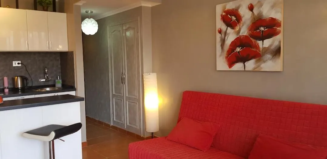 Apartment 5 Min Walk To Gold Mile And 7Min To Best Las Americas Beach Wifi Arona